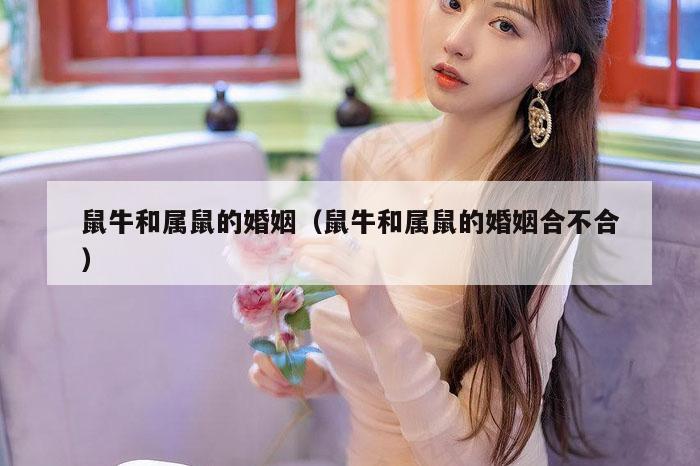 鼠牛和属鼠的婚姻（鼠牛和属鼠的婚姻合不合）