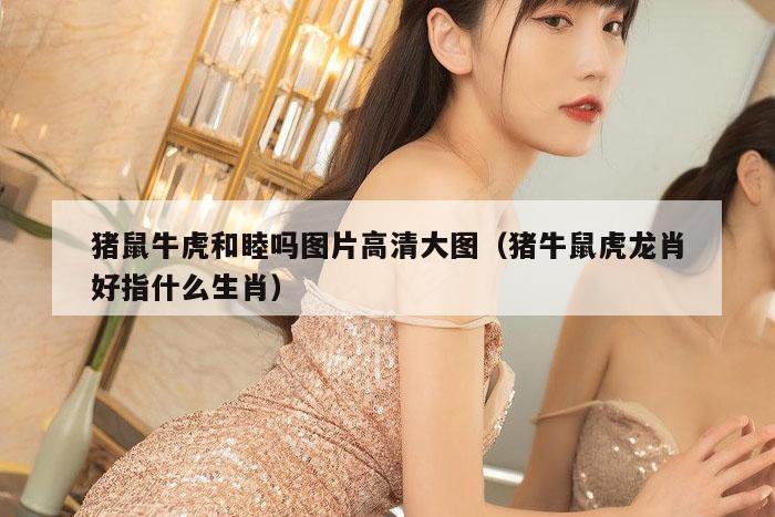 猪鼠牛虎和睦吗图片高清大图（猪牛鼠虎龙肖好指什么生肖）