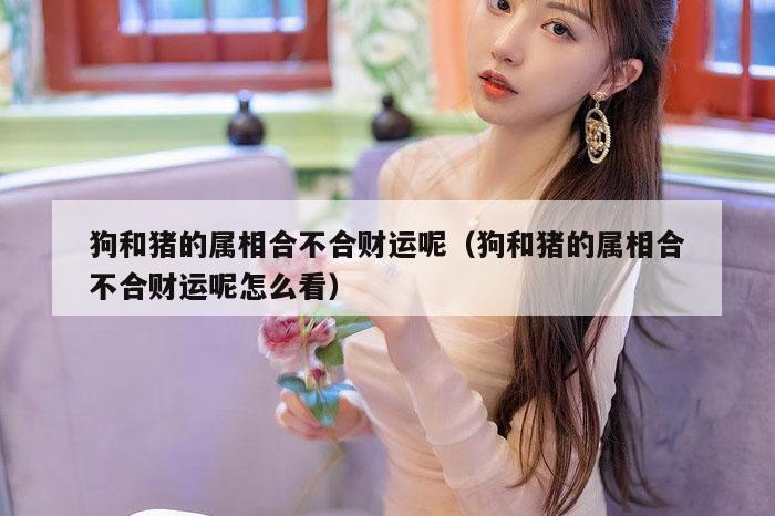 狗和猪的属相合不合财运呢（狗和猪的属相合不合财运呢怎么看）