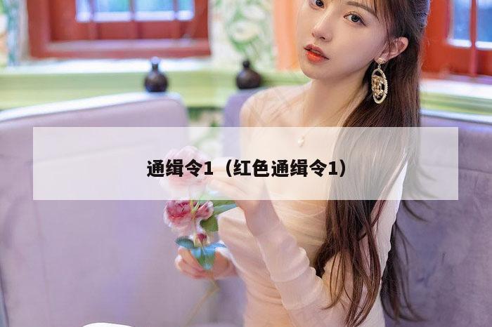 通缉令1（红色通缉令1）